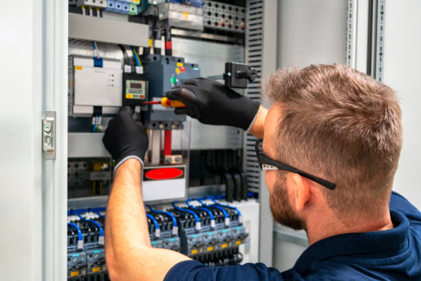 Best Electrical System Inspection  in Bayou Lourse, LA