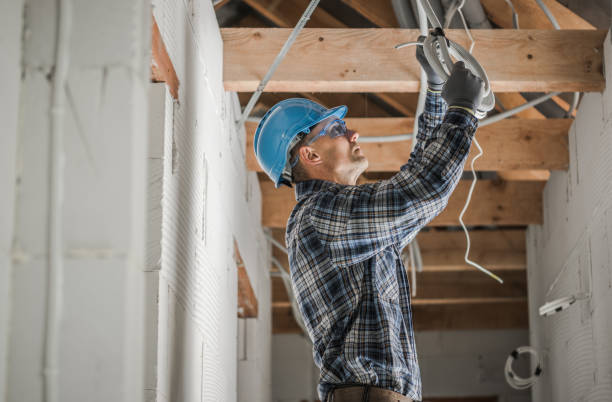 Best Local Electrician Companies  in Bayou Lourse, LA